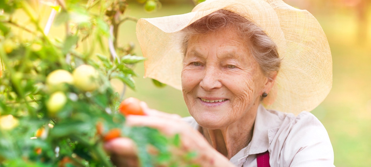 Gardening tips for seniors